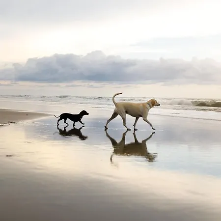 Trinity House - Part Of The The Bay Village With Pool, Gym And Direct Access, Pub, Restaurant, Tennis And Meadows Walks 펜션 *